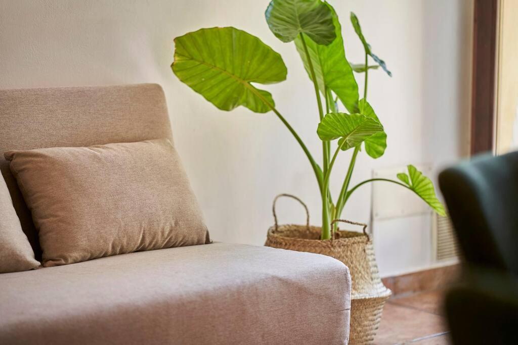 La Limonaia Apartamento *