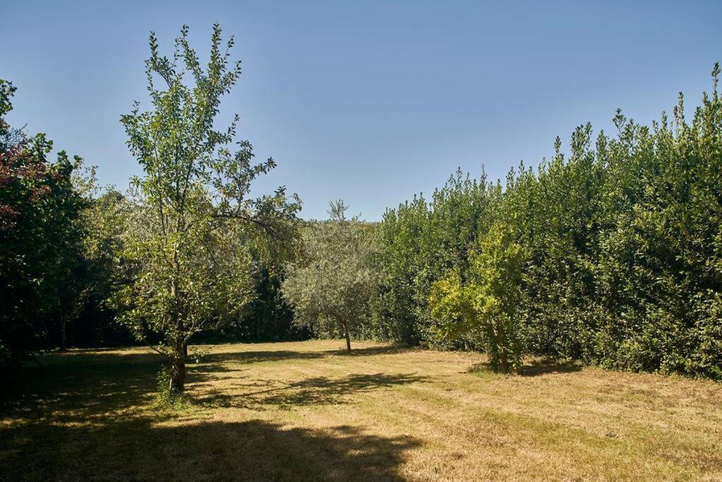 La Limonaia *